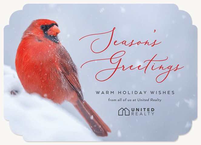 Cardinal Photo Business Holiday Cards