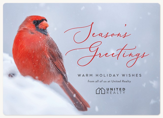 Cardinal Photo Holiday & Christmas Magnet Cards