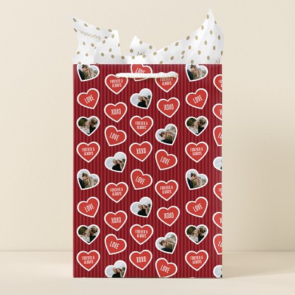 Picture the Love Gift Bag