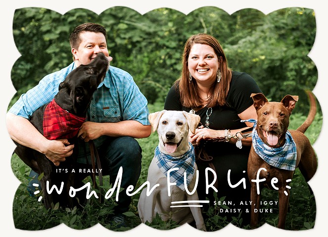 Wonderfur Life Personalized Holiday Cards