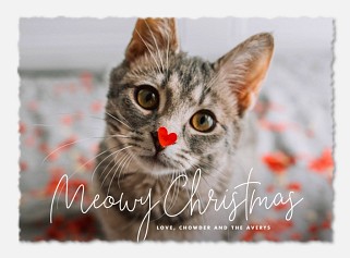 Simply Meowy