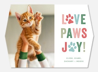 Love Paws Joy