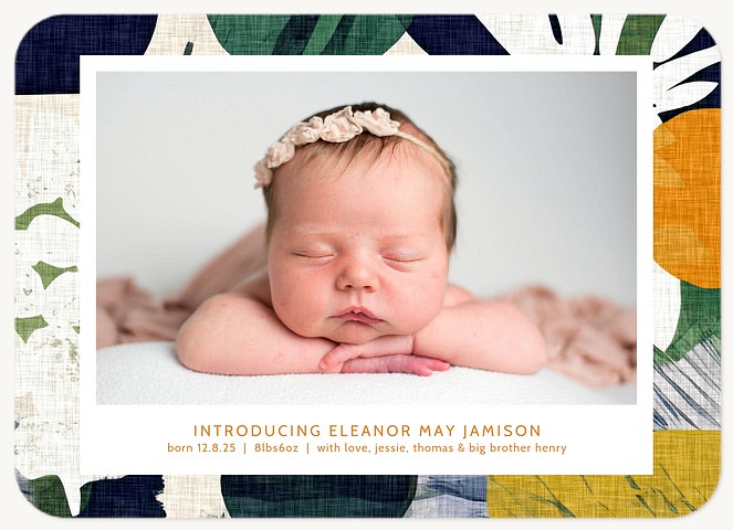 Abstract Introduction Baby Announcements
