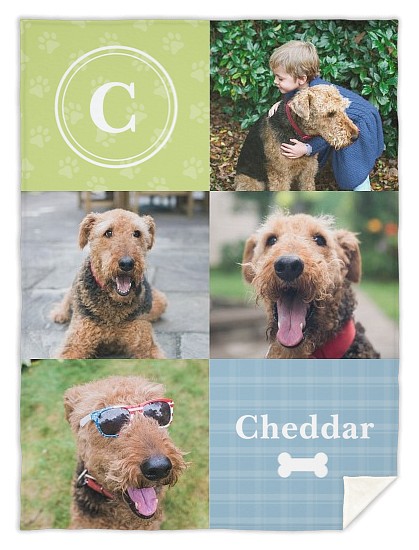 Pawesome Monogram Custom Free Blankets
