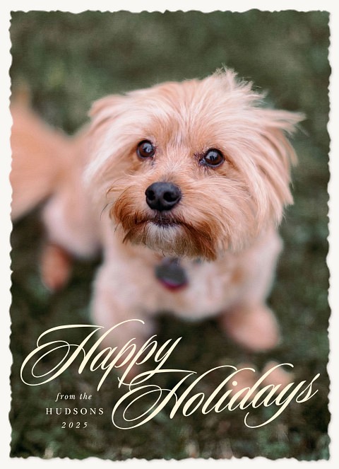 Elegant Letters Personalized Holiday Cards