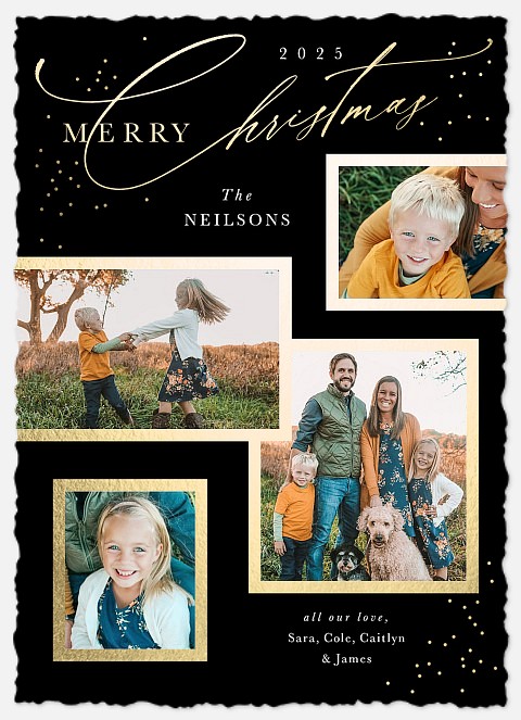 Sophisticated Snapshots Holiday Photo Cards