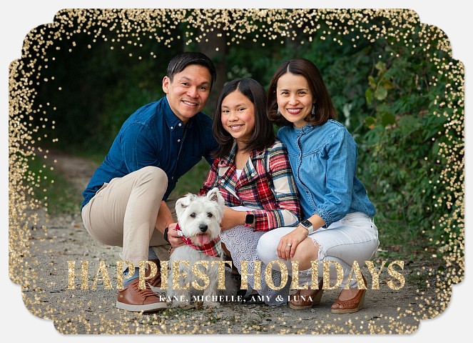 Sparkling Border Holiday Photo Cards