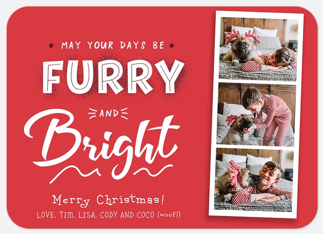 Furry Days Holiday Photo Cards