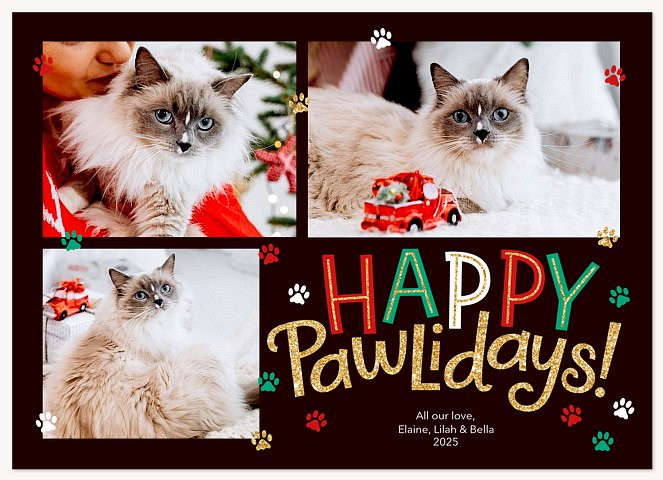 Pawliday Wishes Personalized Holiday Cards