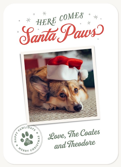 Paw Stamp Personalized Holiday Cards