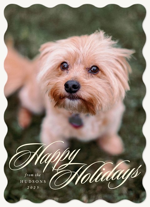 Elegant Letters Personalized Holiday Cards
