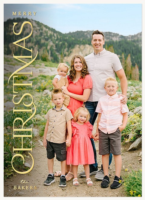 Vertical Elegance Personalized Holiday Cards