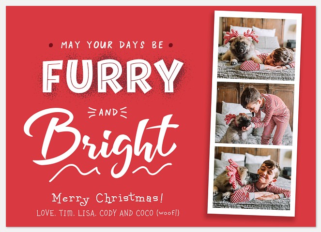 Furry Days Holiday Photo Cards