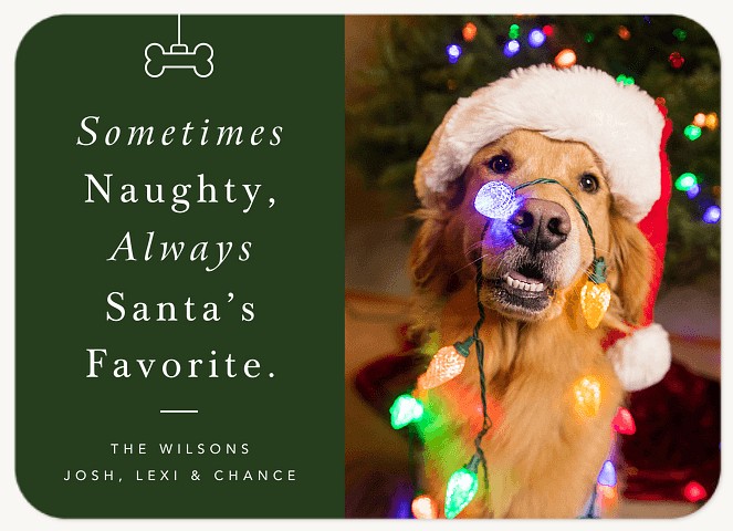 Always Santa's Favorite Personalized Holiday Cards