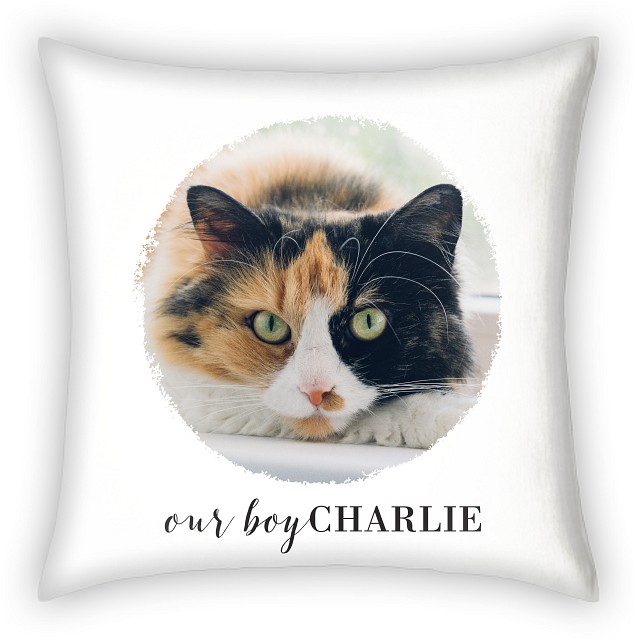 Brushed Circle Custom Pillows