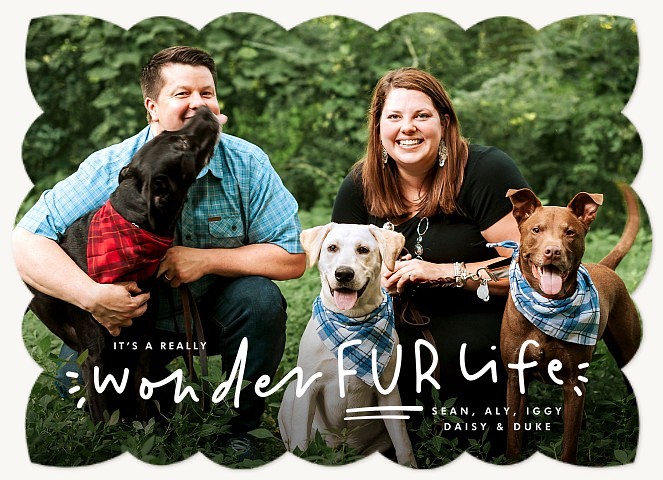Furry Family Personalized Holiday Cards
