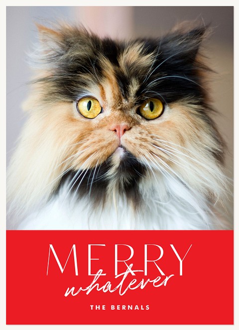 Merry Whatever Personalized Holiday Cards