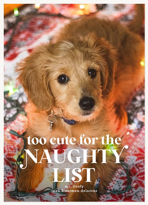 Too Cute Personalized Holiday Cards