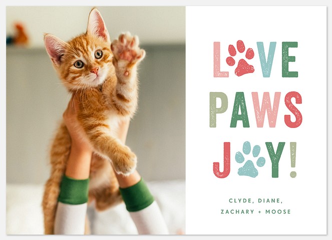 Love Paws Joy Holiday Photo Cards