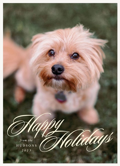 Elegant Letters Personalized Holiday Cards