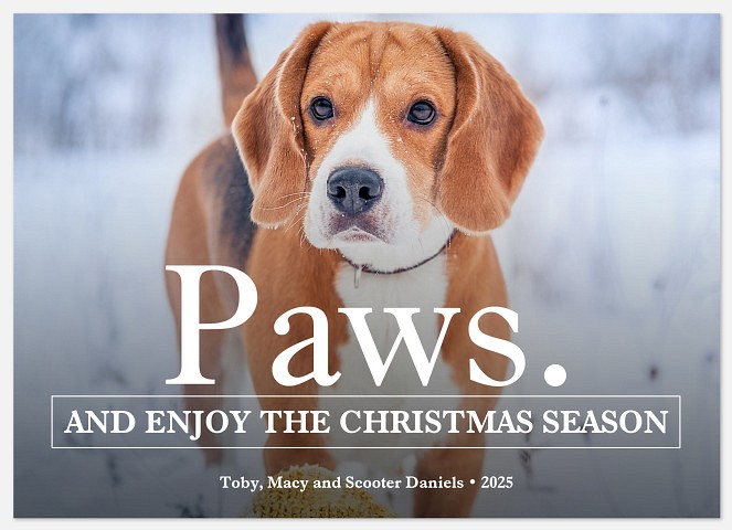 Paws & Enjoy Holiday Photo Cards