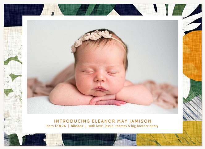 Abstract Introduction Baby Announcements