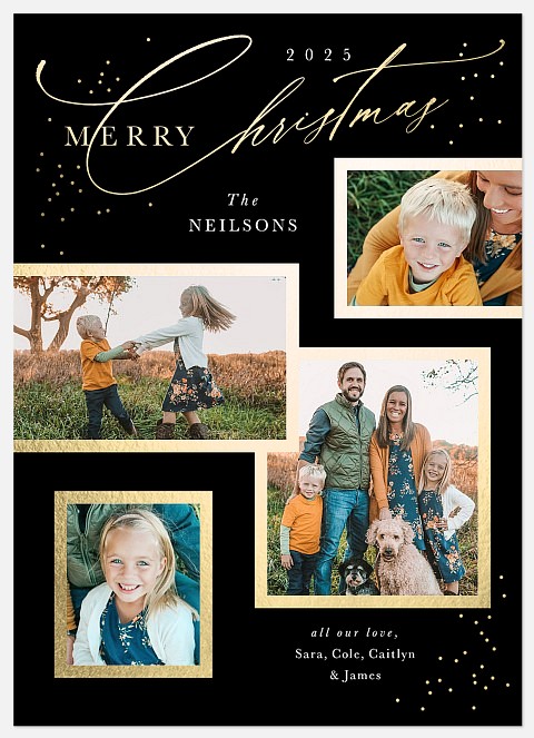 Sophisticated Snapshots Holiday Photo Cards
