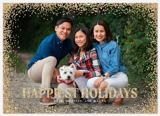 Sparkling Border Holiday Photo Cards