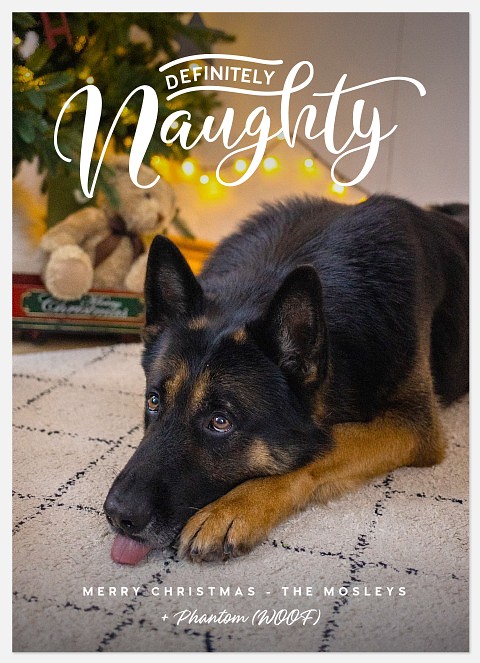Definitely Naughty Holiday Photo Cards