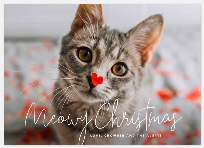 Simply Meowy Holiday Photo Cards