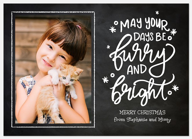 Furry and Bright Holiday Photo Cards