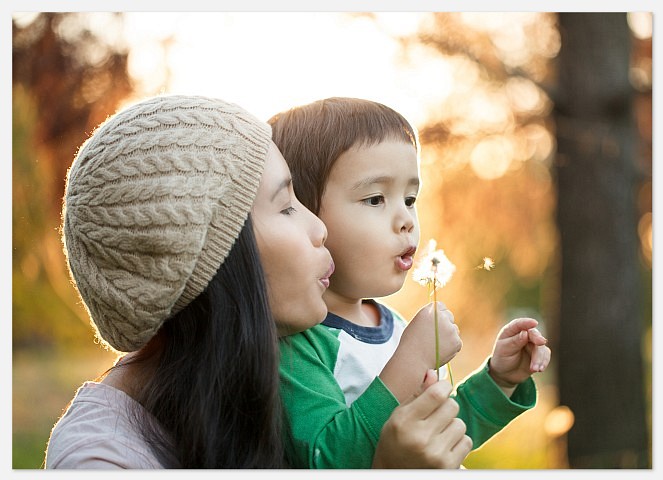 The Big Picture Create Your Own