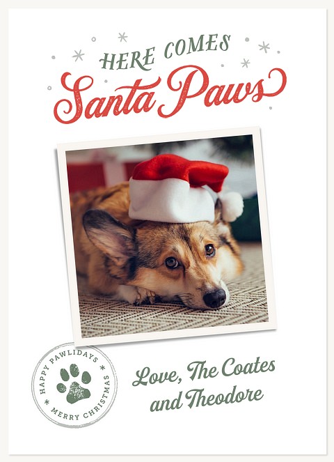 Paw Stamp Personalized Holiday Cards