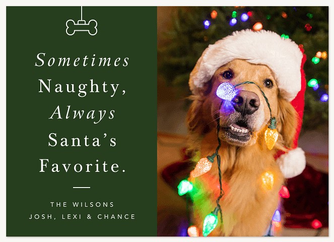 Always Santa's Favorite Dog Christmas Cards