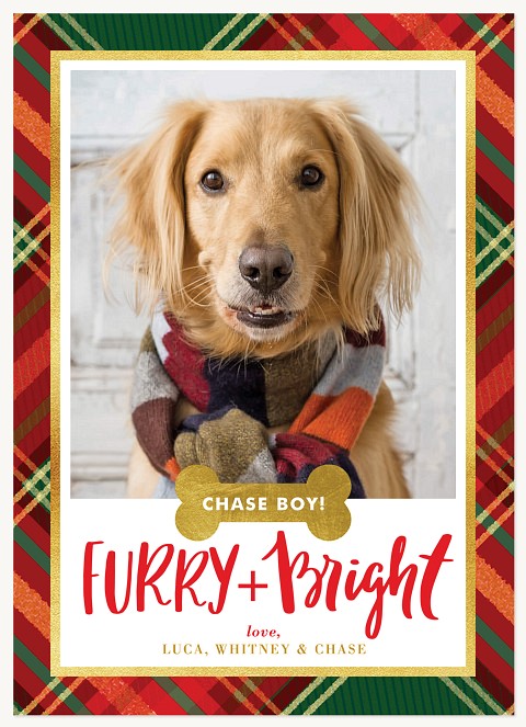 Furry & Bright Christmas Cards