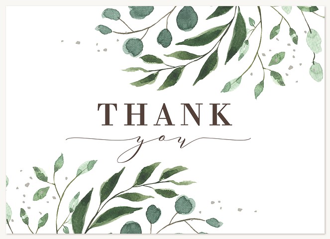 Evergreen Spruce Thank You Cards 