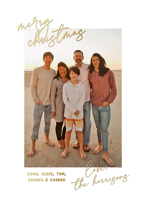 Shimmering Message Personalized Holiday Cards
