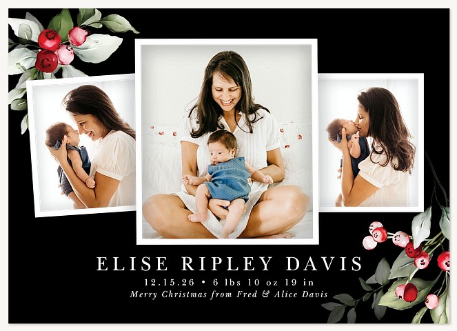 Holly Snapshots Personalized Holiday Cards