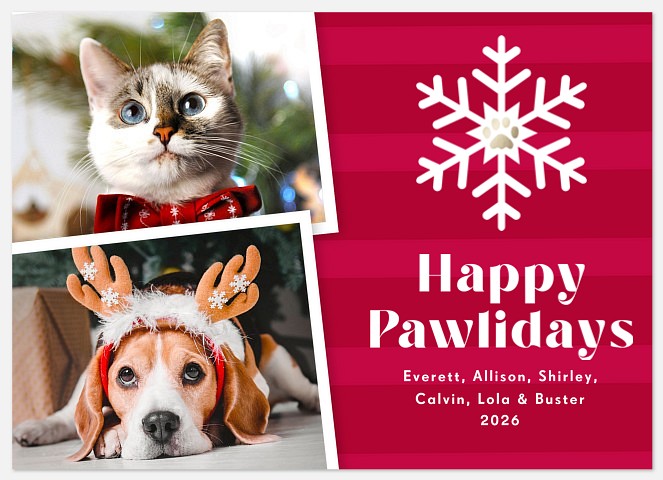 Pawliday Stripes Holiday Photo Cards