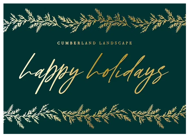 Shimmering Branches Business Holiday Cards