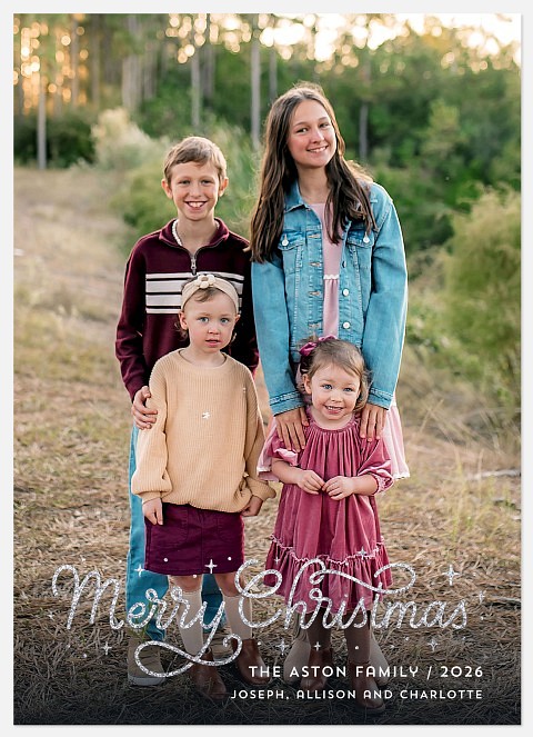 Silver Sparkles Holiday Photo Cards