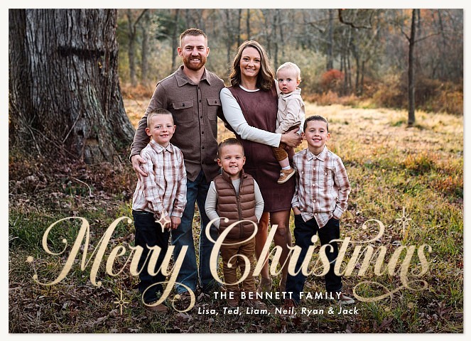 Delightful Sparkles Personalized Holiday Cards