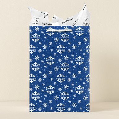 Snowflake Fun Gift Bags