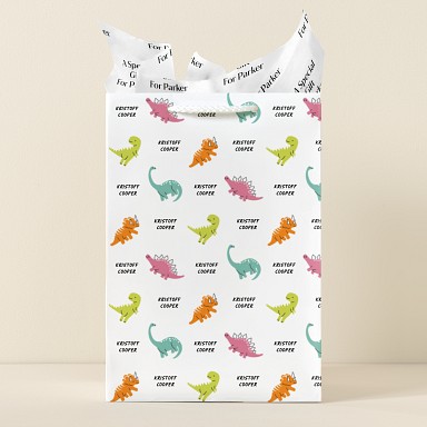 Dinosaur Fun Gift Bags