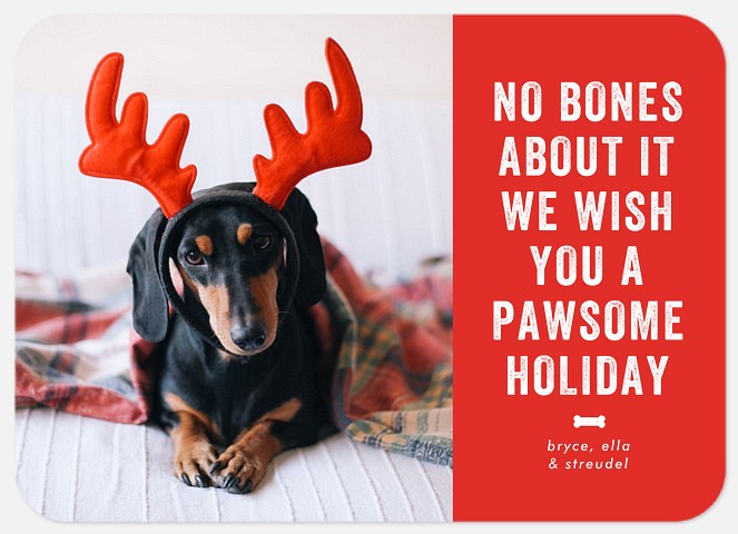 Pawsome Holiday Holiday Photo Cards
