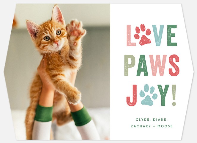 Love Paws Joy Holiday Photo Cards