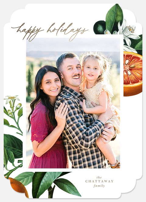 Southern Citrus Holiday Photo Cards