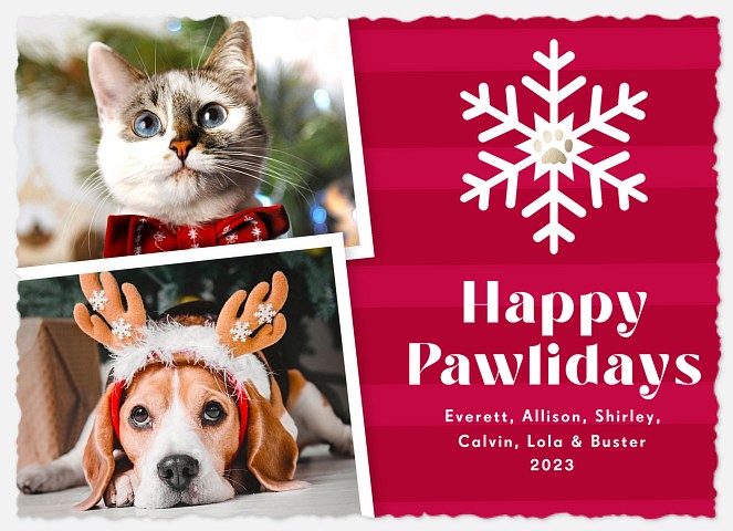 Pawliday Stripes Holiday Photo Cards