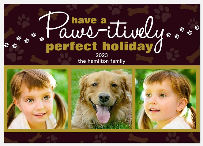 Paws-itively Perfectly Holiday Photo Cards