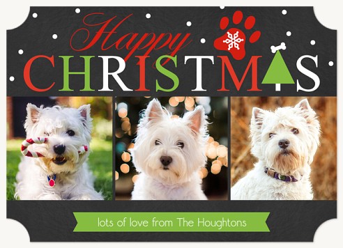 Holiday Pup  Christmas Cards